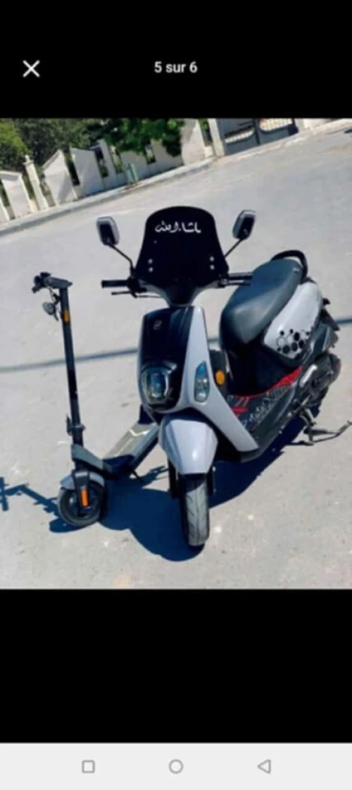Vms Cuxi 2022