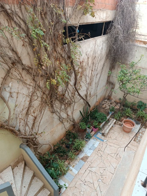 Location Villa Oran Hassi ben okba