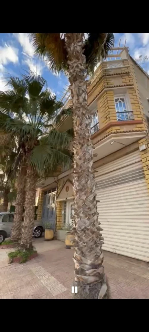 Location Villa Oran Hassi ben okba