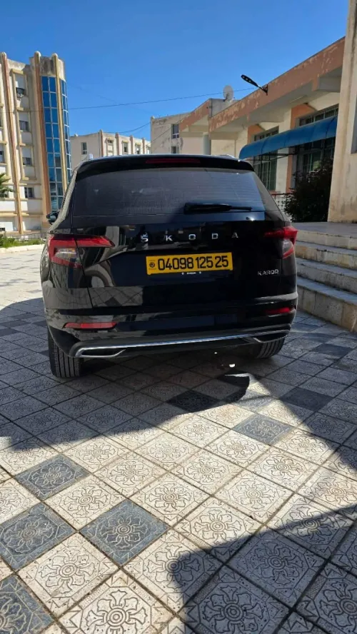 Skoda Karoq 2025 Karoq Latout