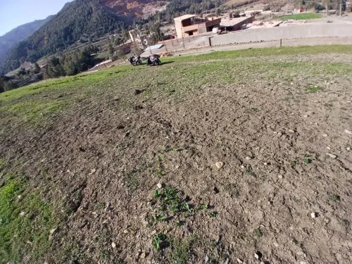 Vente Terrain Blida Hammam melouane