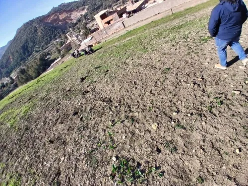 Vente Terrain Blida Hammam melouane