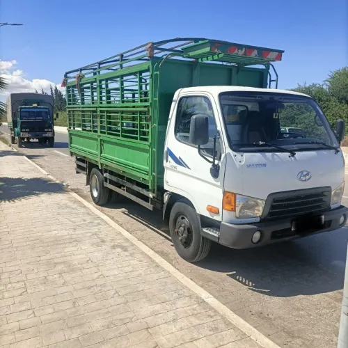 Hyundai HD65 2009