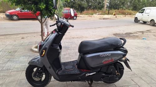 Vms Cuxi 2 2021