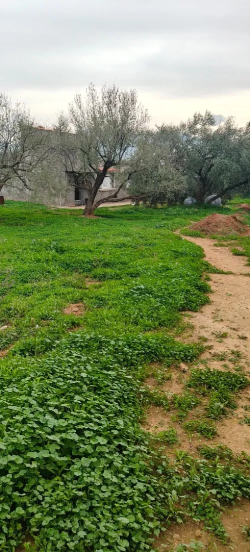Vente Terrain Béjaïa Tazmaltdaira