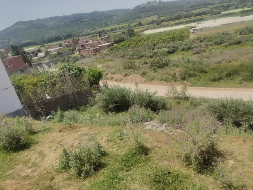 Vente Terrain Boumerdès Boudouaou