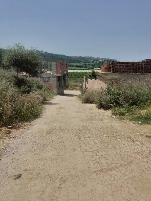 Vente Terrain Boumerdès Boudouaou