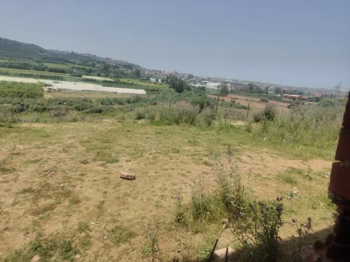 Vente Terrain Boumerdès Boudouaou