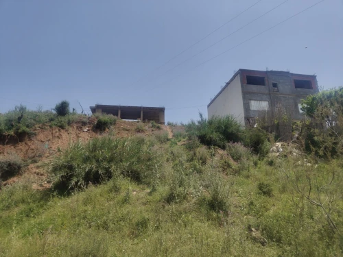 Vente Terrain Boumerdès Boudouaou