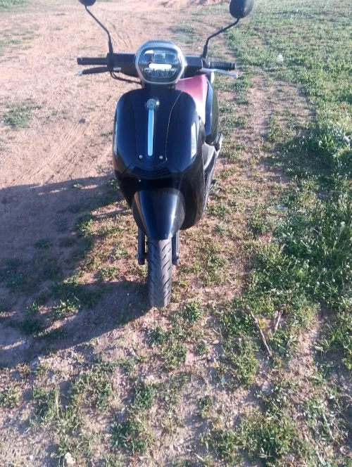 Vms Panaria 2025