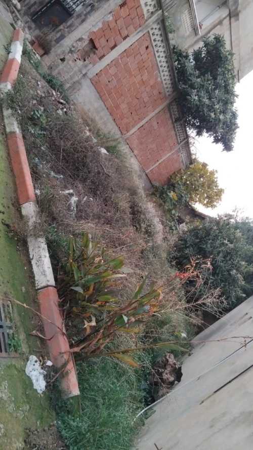 Vente Terrain Blida Bouarfa