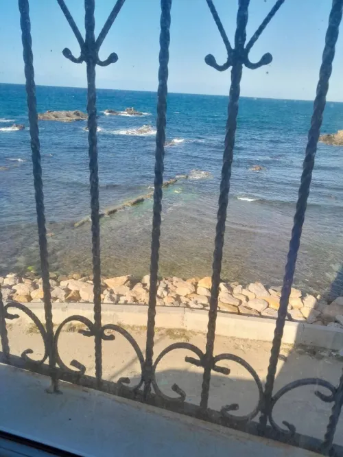 Location Appartement F2 Alger Ain taya