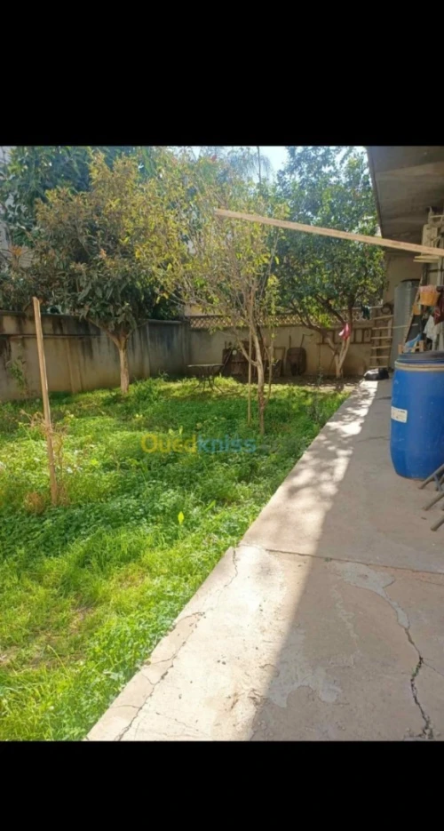 Vente Villa Alger Rouiba