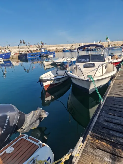 BAYLINER TROPHY 150 CV