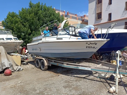BAYLINER TROPHY 150 CV
