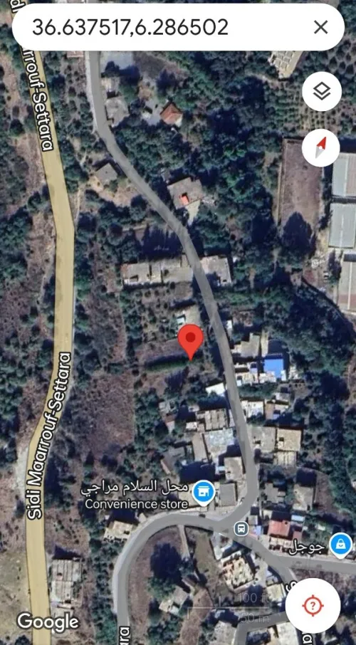 Vente Terrain Jijel Sidi maarouf