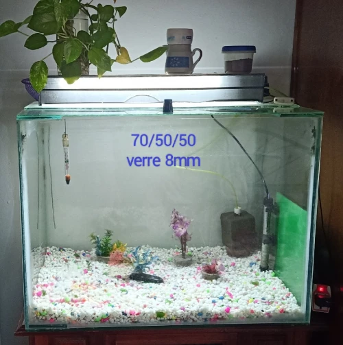 2 aquariums