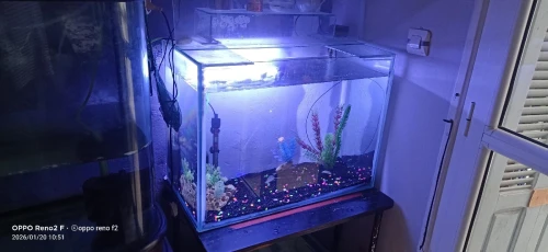 2 aquariums
