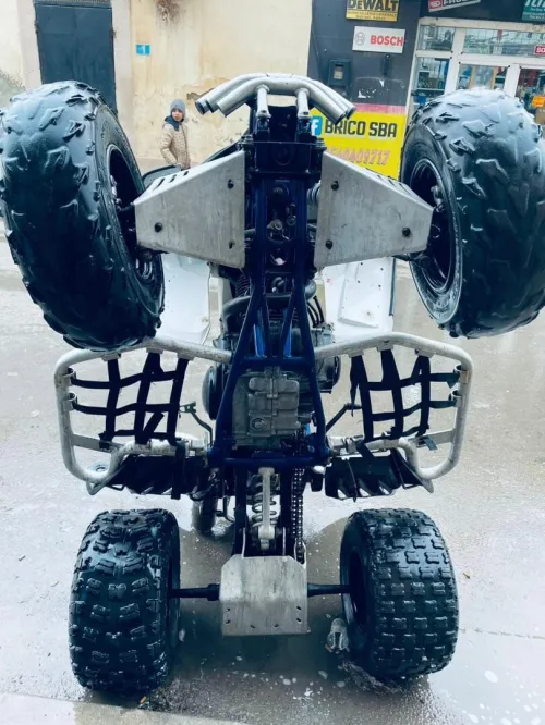 Yamaha Raptor 350 2010
