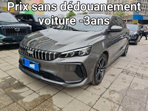 Geely Binrui 2023 