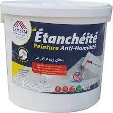Peintre Etanche Terrasse -Annaba-