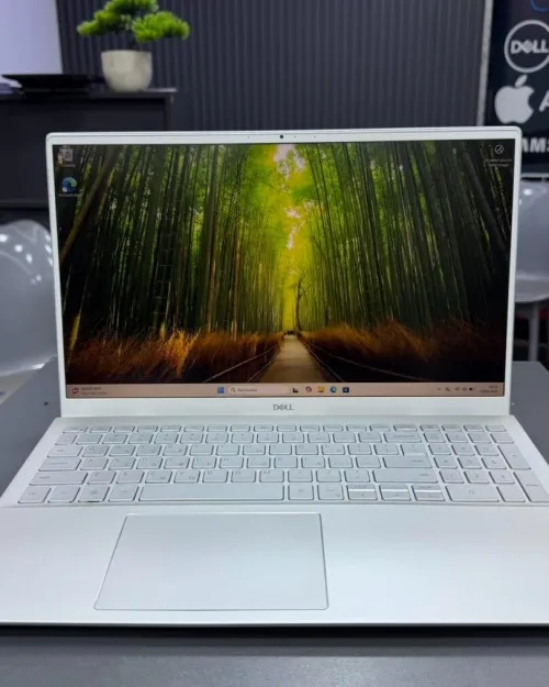 DELL INSPIRON 15 5501 INTEL I7-1065G7 10em 16GB DDR4 512GB SSD R PLUS GRAPHICS MX 330 2Gb 15.6P FHD+
