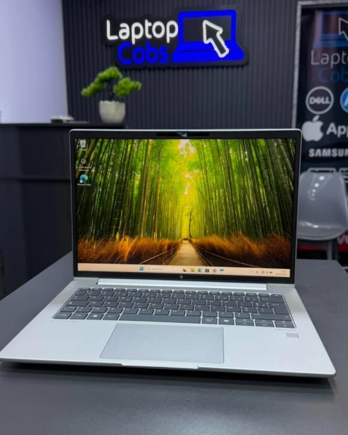 HP ELITEBOOK 845 G11 RYZEN 7 7335U 2.70 Ghz 16Gb DDR5 512Gb Nvme AMD RADEON TM GRAPHICS 14 FHD WUXGA