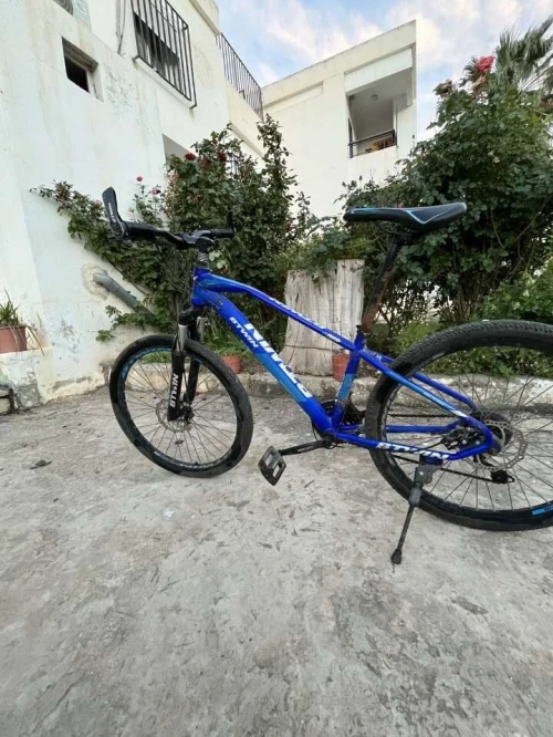 Bitwin rock rider