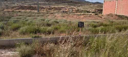 Vente Terrain Batna Batna
