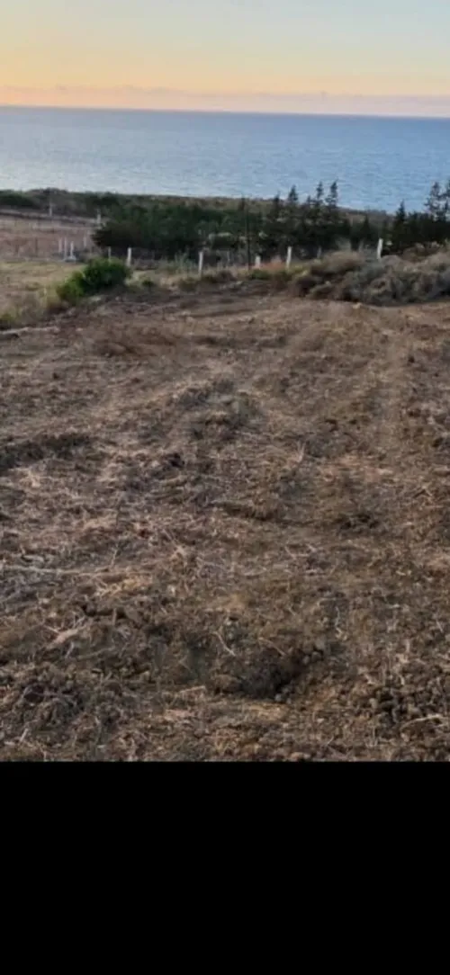 Vente Terrain Tizi Ouzou Azeffoun