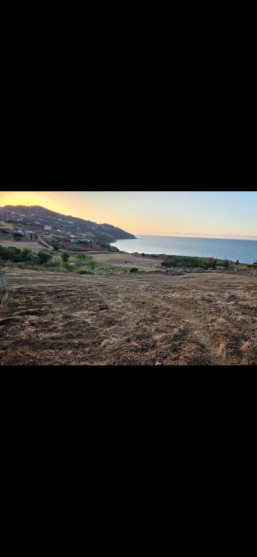 Vente Terrain Tizi Ouzou Azeffoun