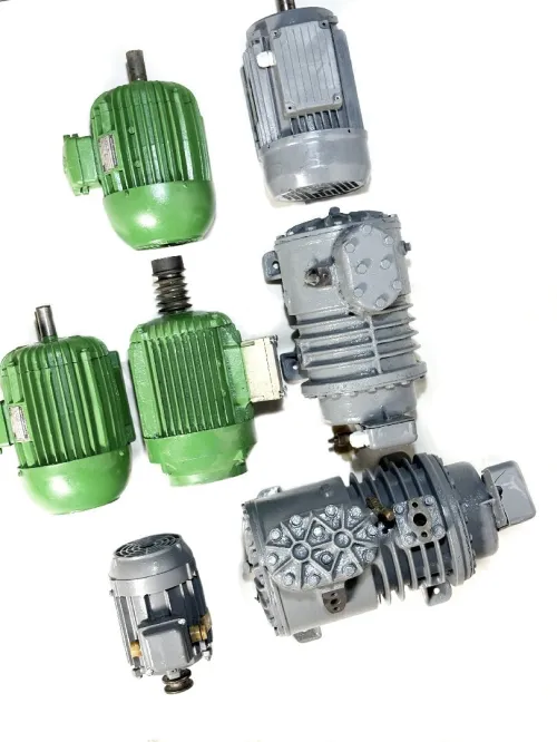 CARPIGIANI