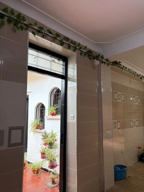 Location bien immobilier Alger Draria