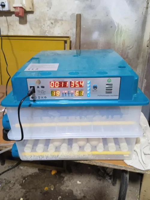 Incubateur 120 oeuf  | فقاسة 120 بيضة