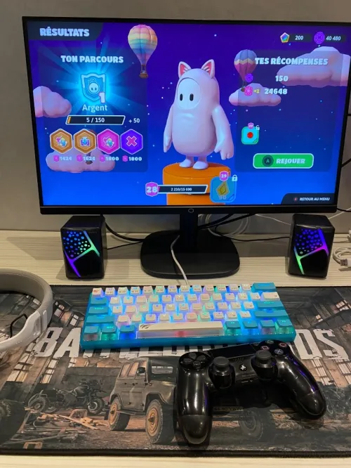 Pc gamer