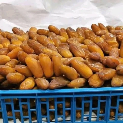 طولقة بسكرة