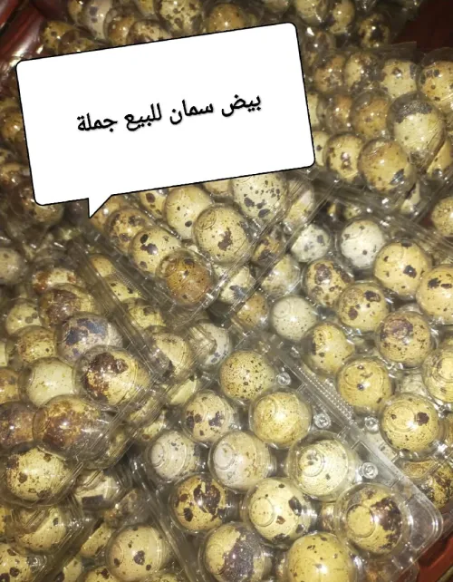 بيع السمان و بيض 