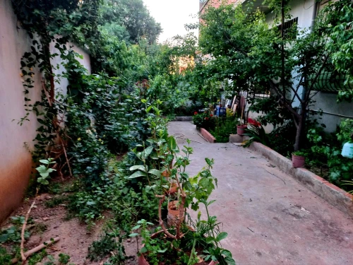 Vente Villa Blida Blida