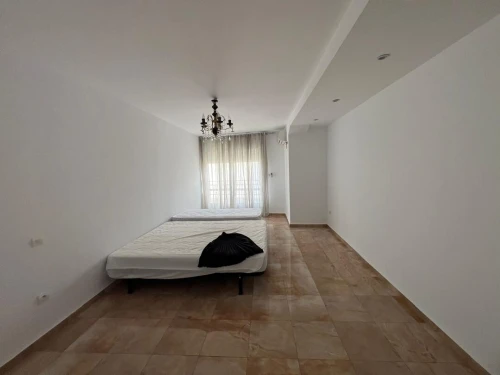 Location Appartement F6 Alger El mouradia
