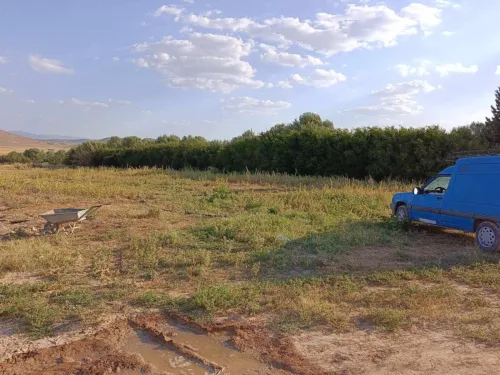 Vente Terrain Agricole Batna Chemora