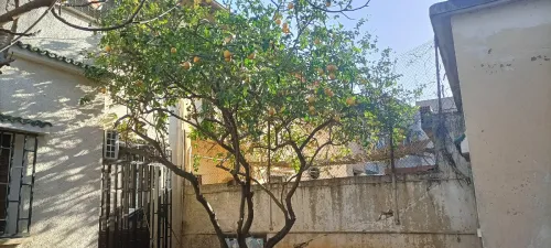 Location Villa Alger Kouba
