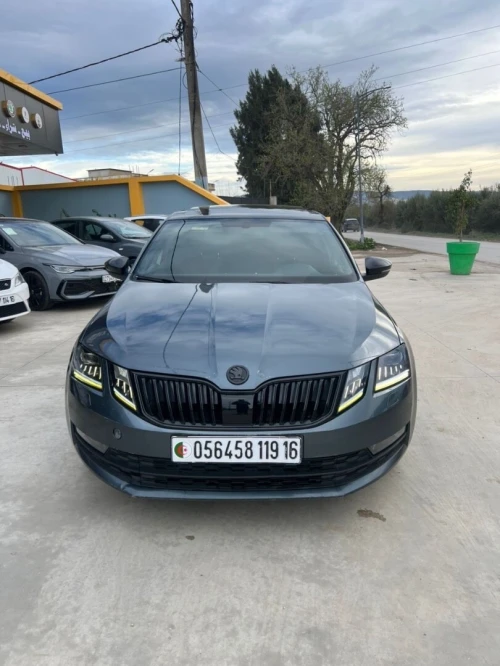 Skoda Octavia 2019 Elegance DGS