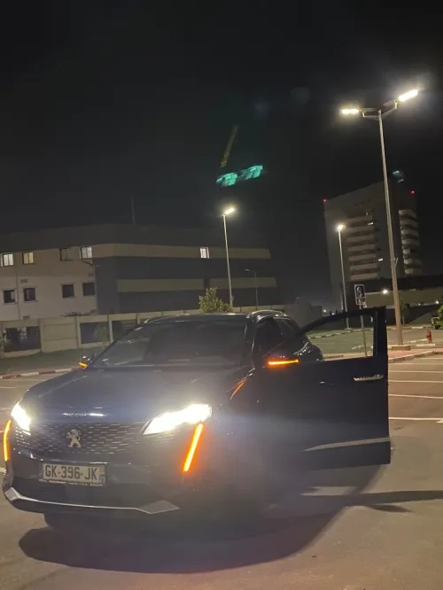 Peugeot 3008 2021 Purtech