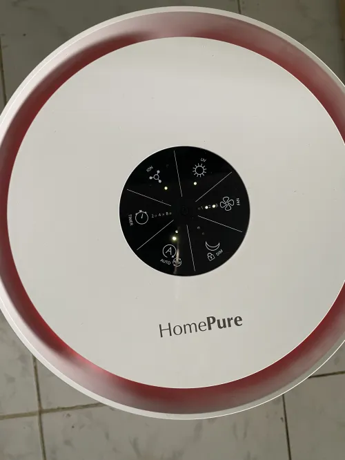 Home pure zayn