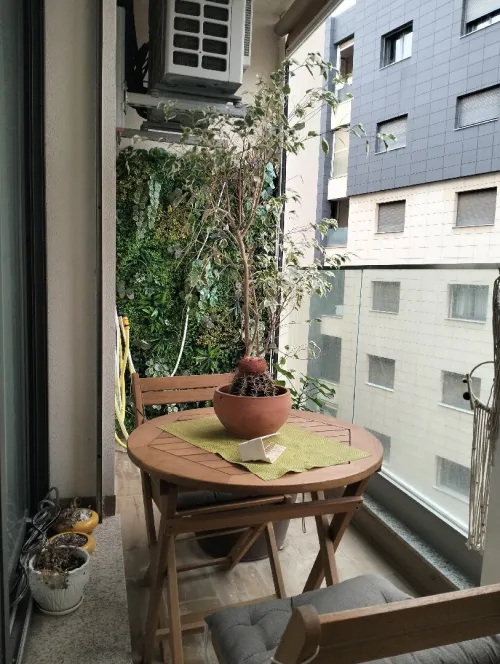 Location Appartement F3 Alger Birkhadem