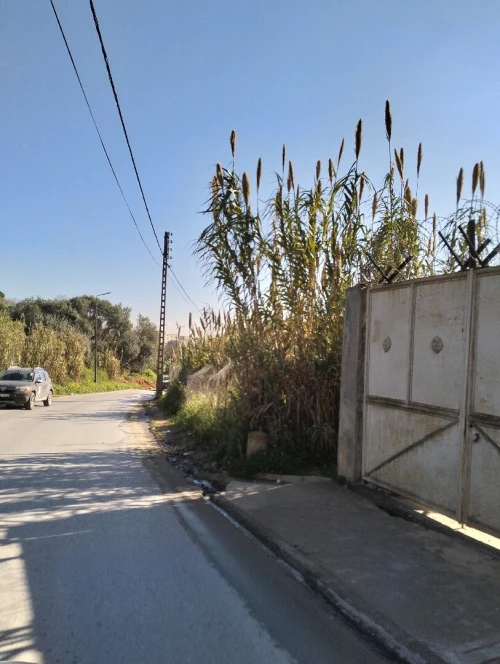 Vente Terrain Alger Draria