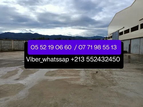 Location Hangar Alger Birtouta