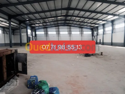 Location Hangar Alger Birtouta