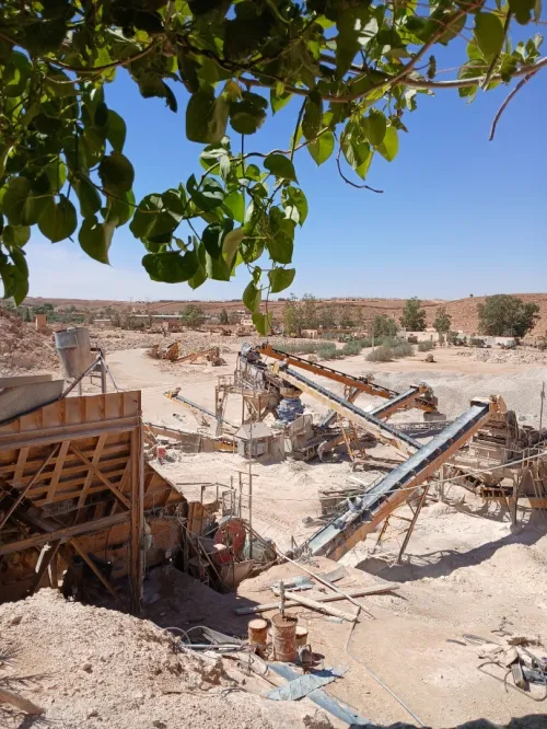 Vente Usine Ghardaïa Berriane