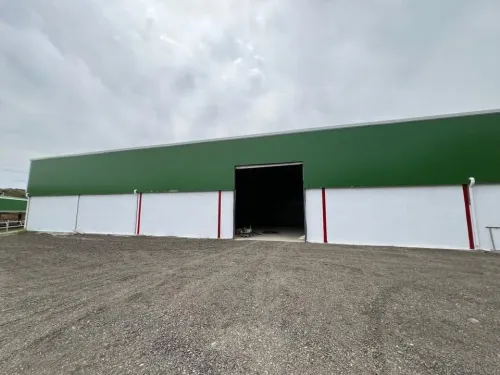 Location Hangar Boumerdès Hammedi